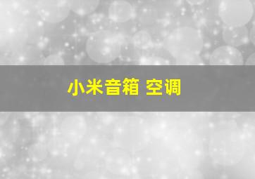 小米音箱 空调